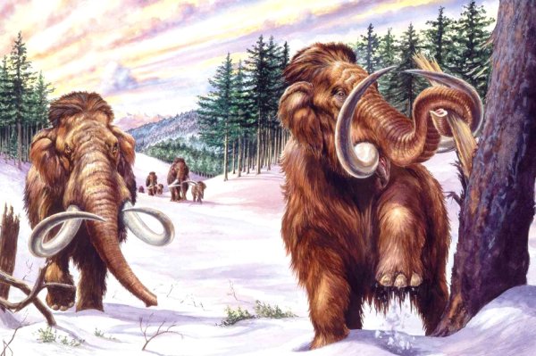 Шерстистый мамонт (Woolly Mammoth)