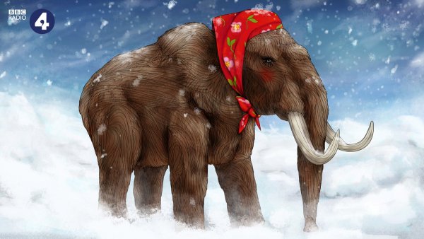 Mammuthus (мамонты)