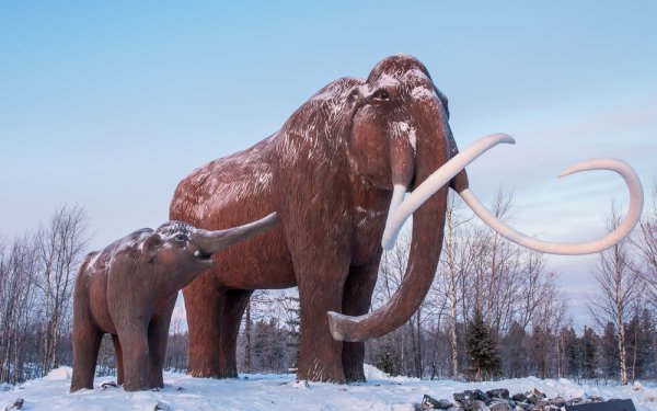 Шерстистый мамонт (Woolly Mammoth)