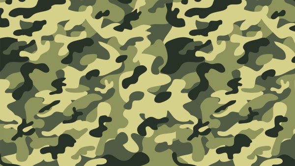 Army Green Camouflage pattern