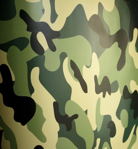 Защитный цвет