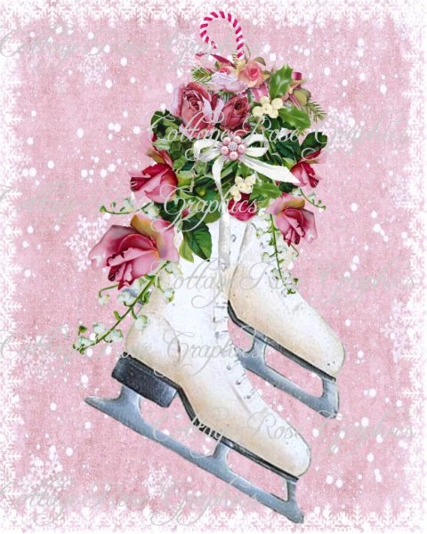 Винтажные коньки