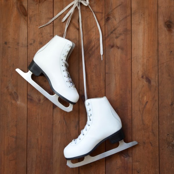 Коньки красивые