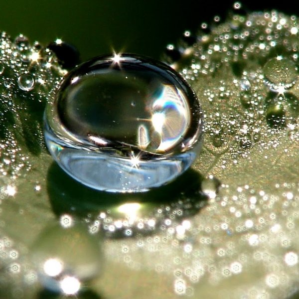 Волшебная вода