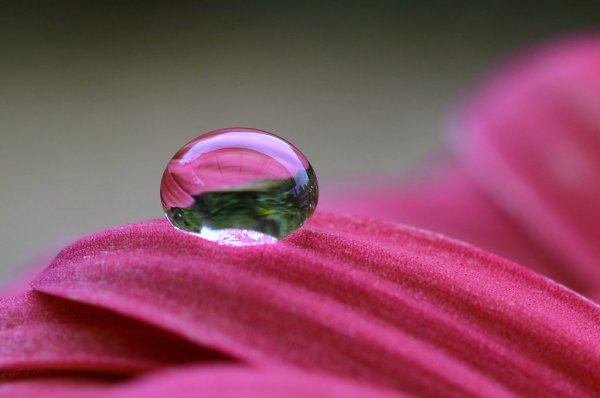 Водяная капля