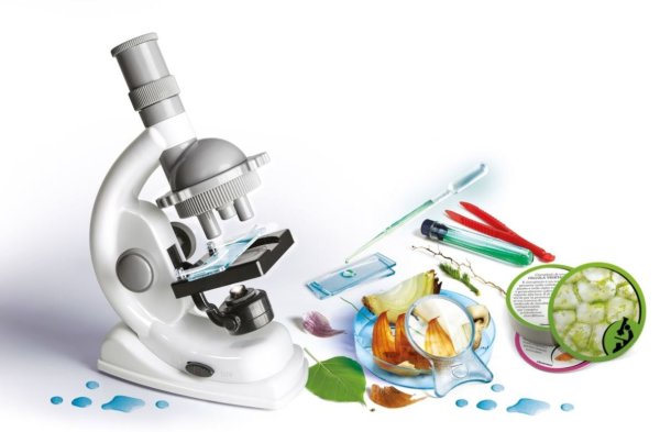 Микроскоп биология