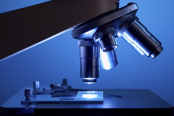 Микроскоп в лаборатории