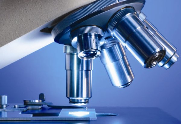 Микроскоп исследование