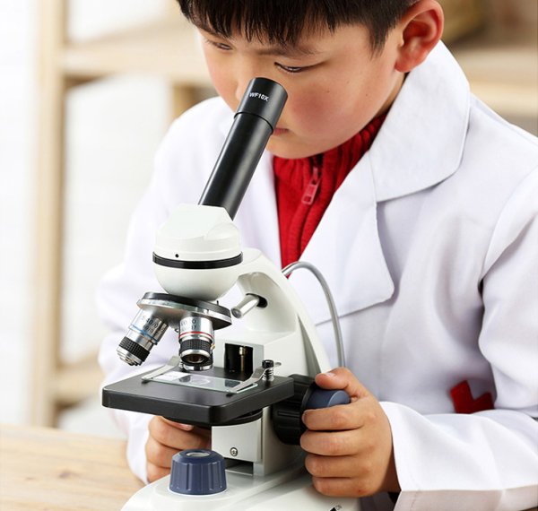 Огромный микроскоп