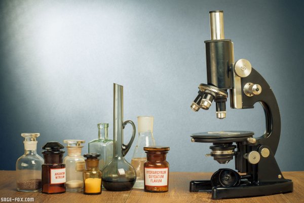 Луи Пастер микроскоп