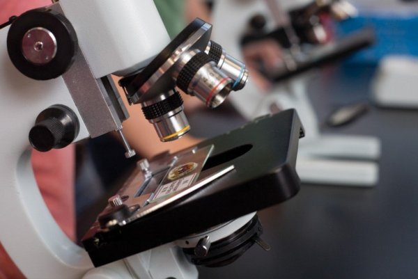 Микроскоп 500 крат