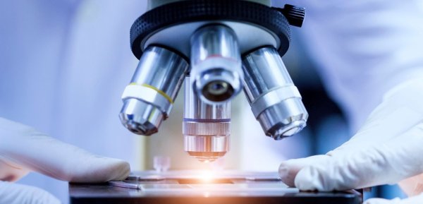 Микроскоп картина