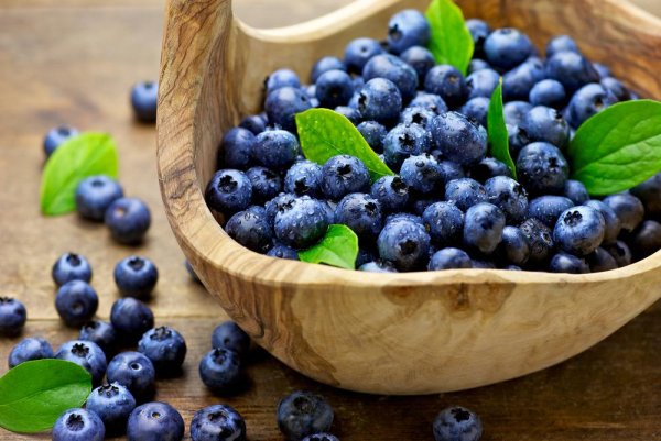 Blueberry Fruit