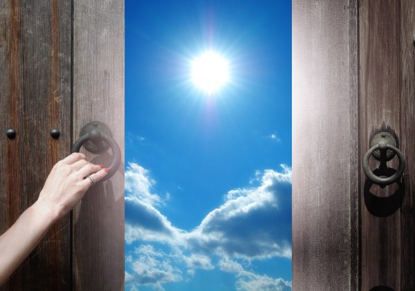 Дверь в жизнь