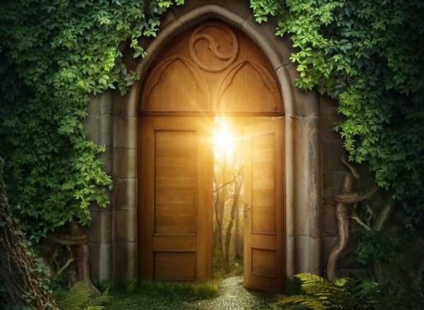 Волшебная дверь