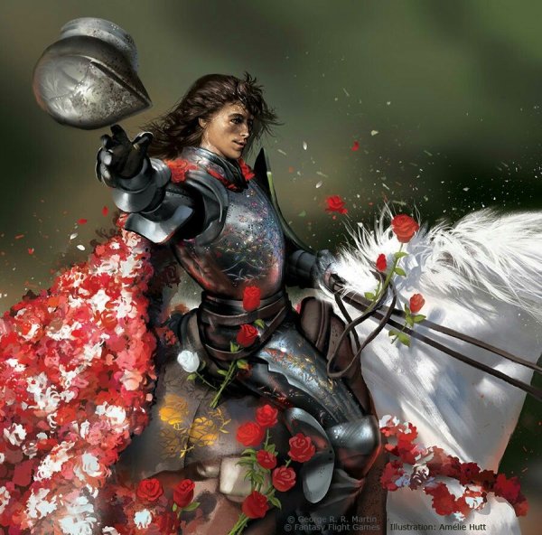 Рыцарь с цветами