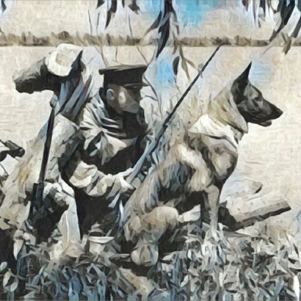 Фронтовая собака музей Победы