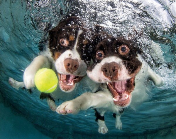 Funny, interesting and Crazy photos