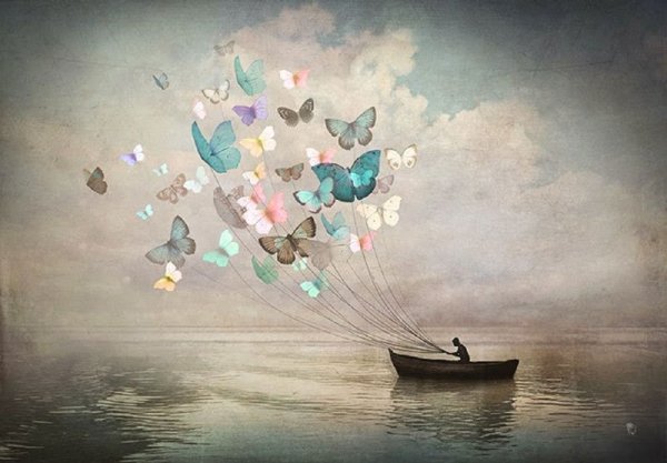 Christian Schloe картины бабочки