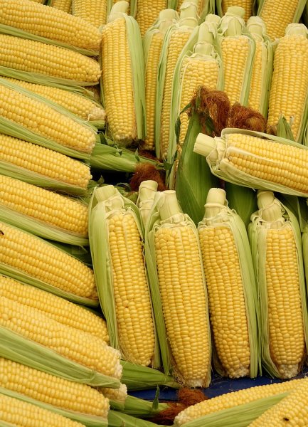 Кукуруза Corn
