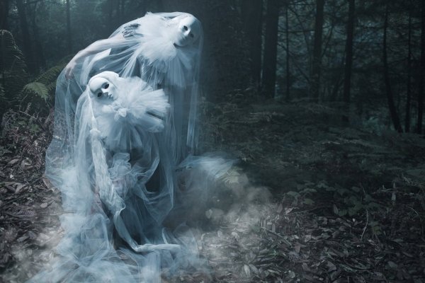 Белое приведение