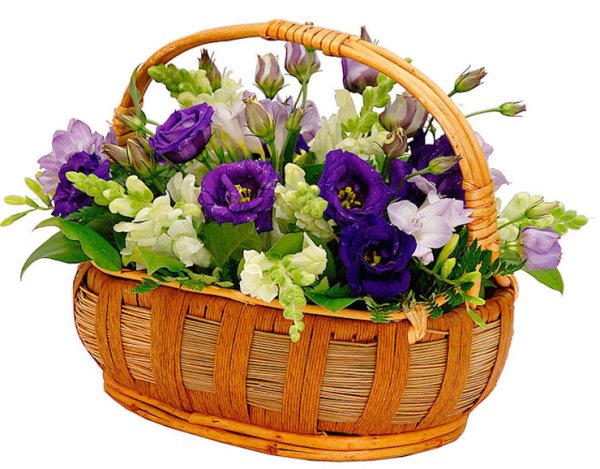 Цветы в корзине