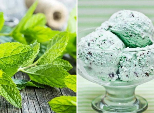 Мята свежая