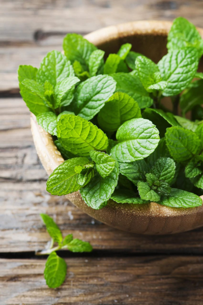 Чай перечная мята мед