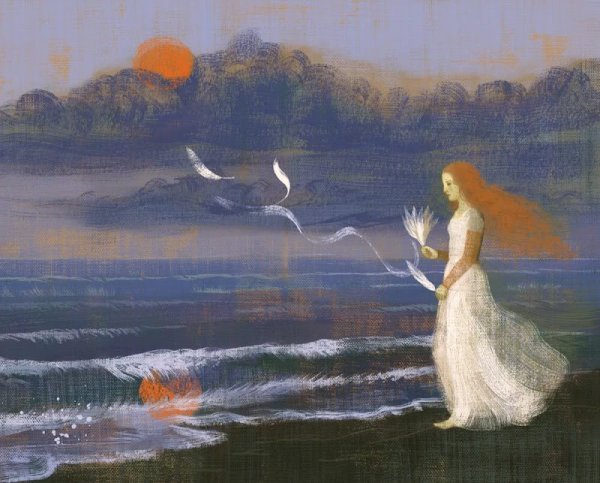 Anna Elena Balbusso иллюстрации