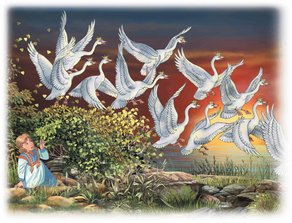 Дикие лебеди сказка Андерсена