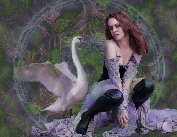 Леда лебедь современные художники живой