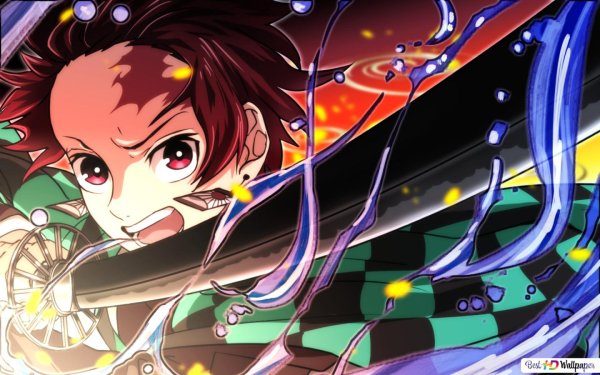 Demon Slayer Kimetsu no Yaiba