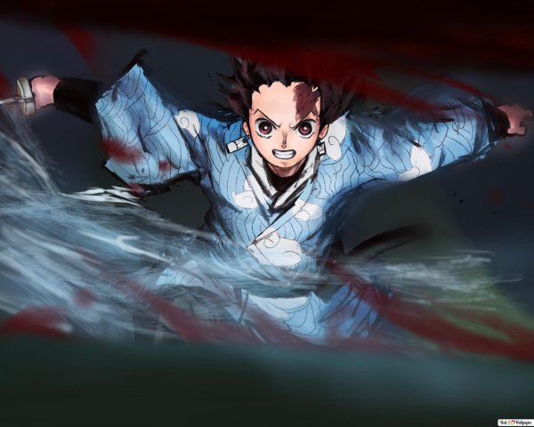 Demon Slayer Kimetsu no Yaiba