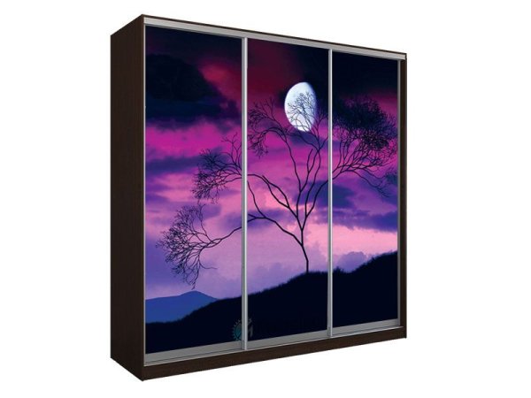 Шкаф-купе Kristal 341579