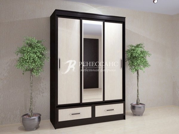 Шкаф-купе "Модерн" 1,65м