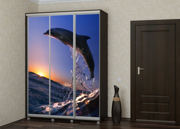 Шкафы-купе с фотопечатью на стекле