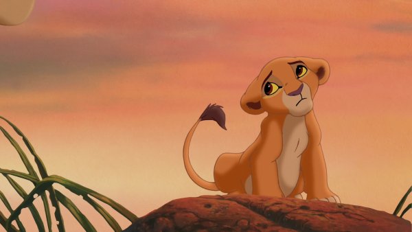 Король Лев 2 гордость Симбы Киара