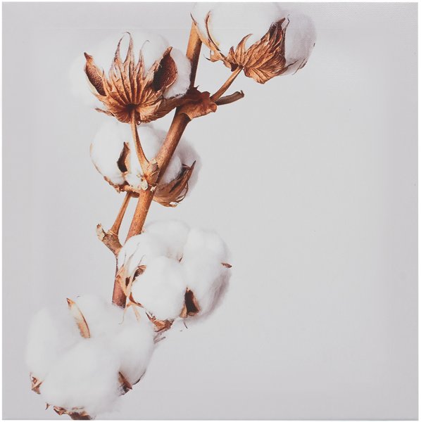Хлопковая веточка