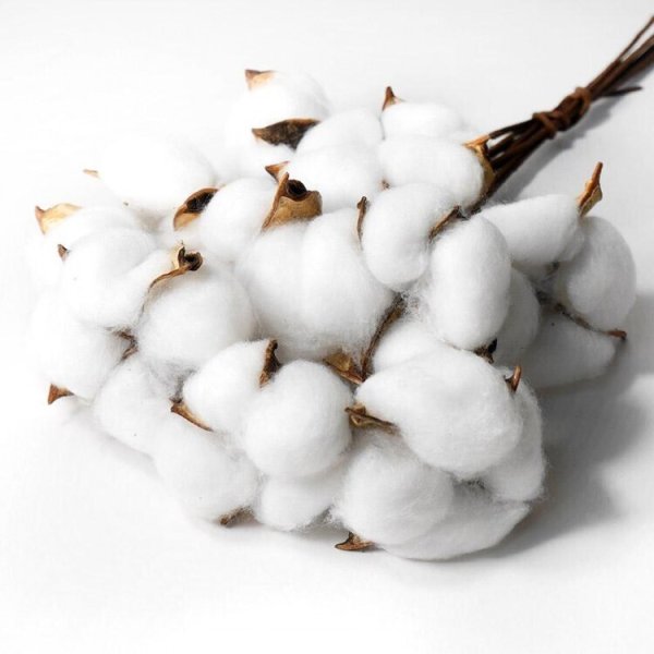 Веточка декоративная 50 см "хлопок" (SF-1907) белый