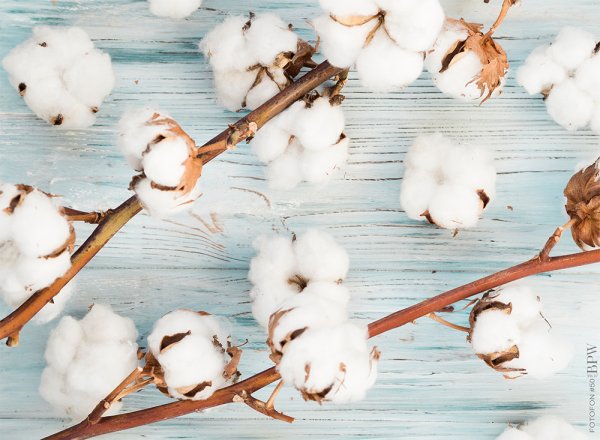 Красивый хлопок