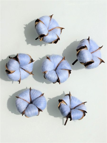 Хлопковые цветы