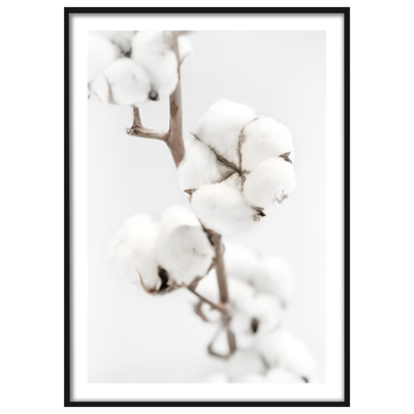 Постер хлопок