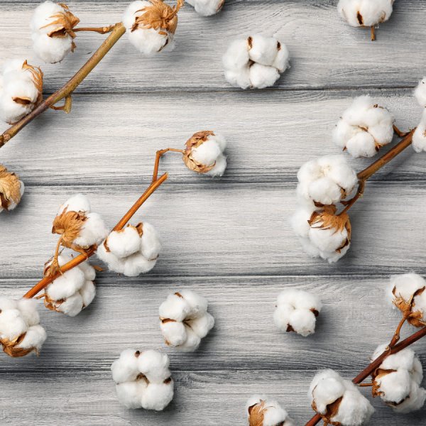 Хлопок органический хлопок