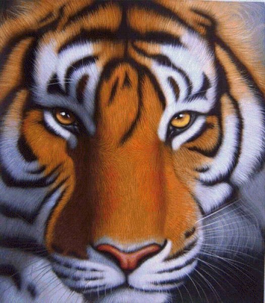 Картинки голова тигра (44 фото)