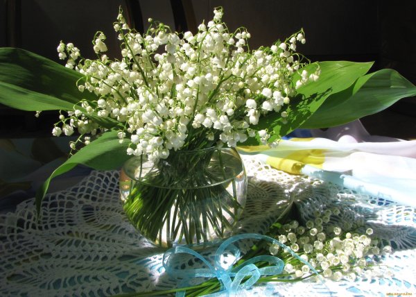 Красивые Ландыши