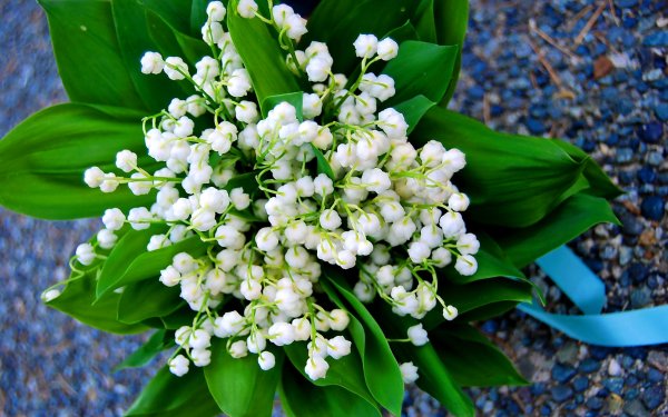 Букет ландышей