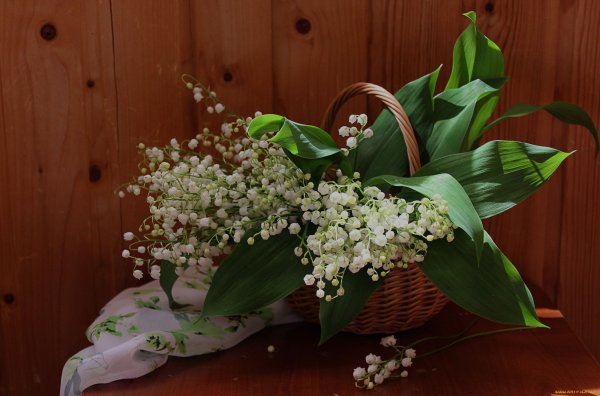 Цветы Ландыши и сирень