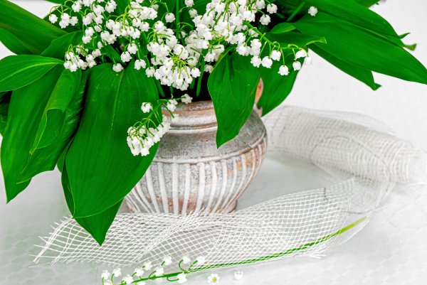 Ландыш Рафаиловна