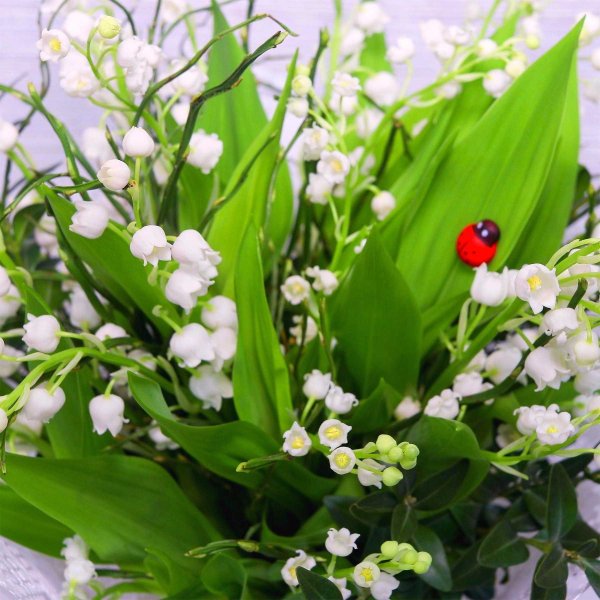 Ландыш Майский букет