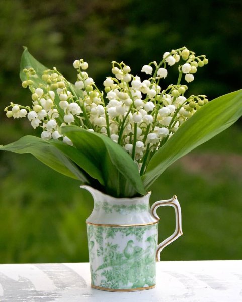 Тюльпаны Ландыши